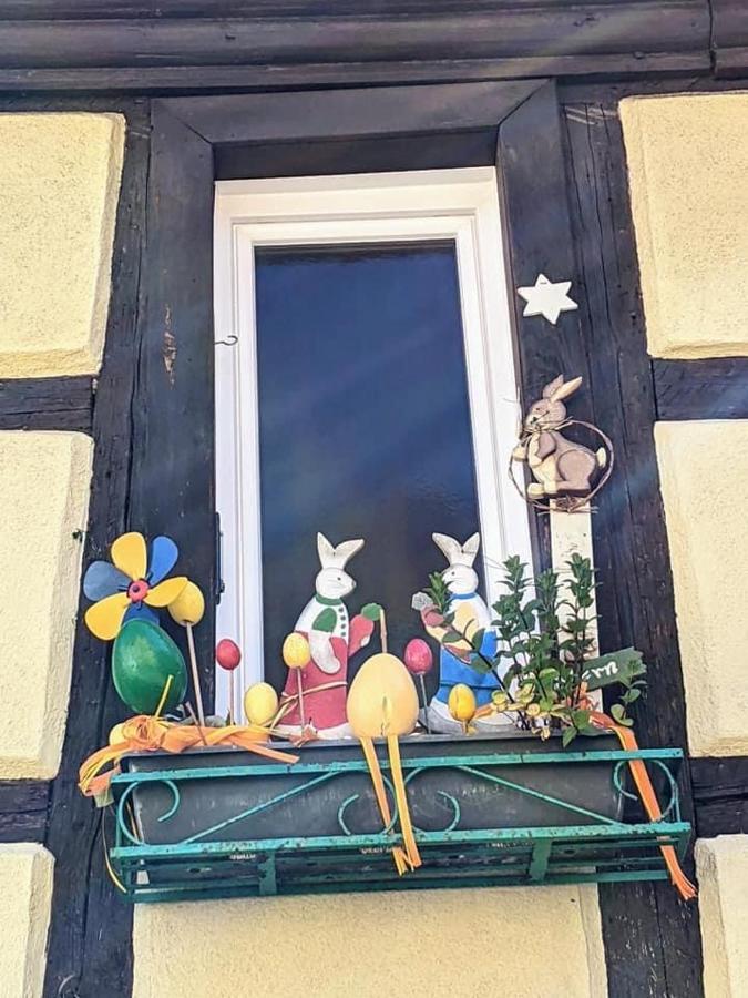 Gite Les Lavandieres Colmar Exteriér fotografie