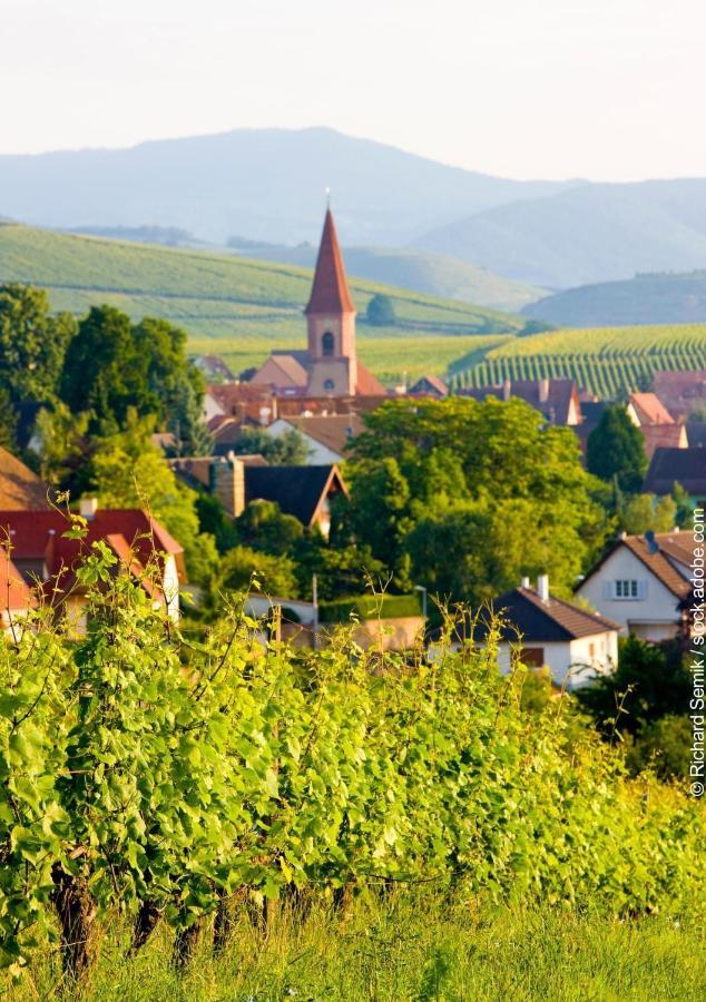 Gite Les Lavandieres Colmar Exteriér fotografie